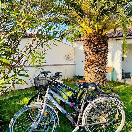 La Maison Des Courlis Rivedoux-Plage