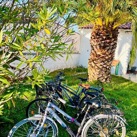 La Maison Des Courlis Holiday home *